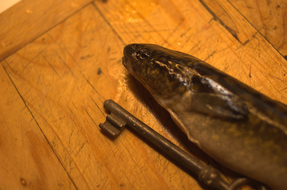 baowah: DSC 8200 baowah: DSC 8200