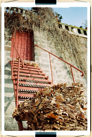 baowah: 000025 baowah: 000025