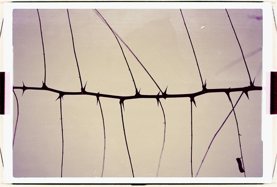 baowah: 000012 baowah: 000012