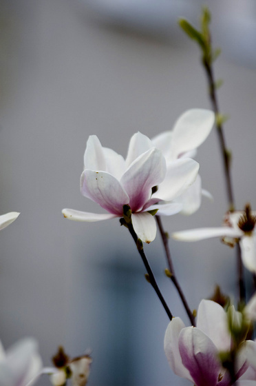 baowah: marko utca 03