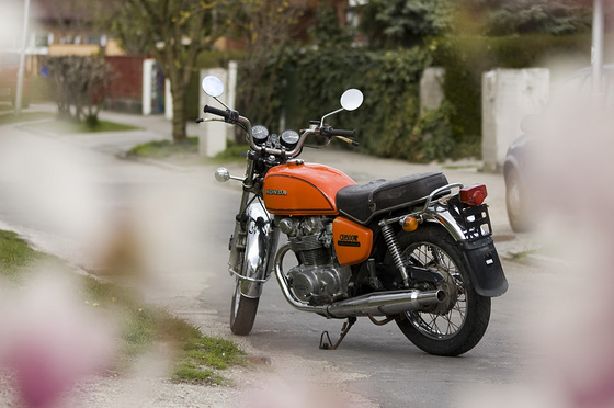 baowah: marko utca 15