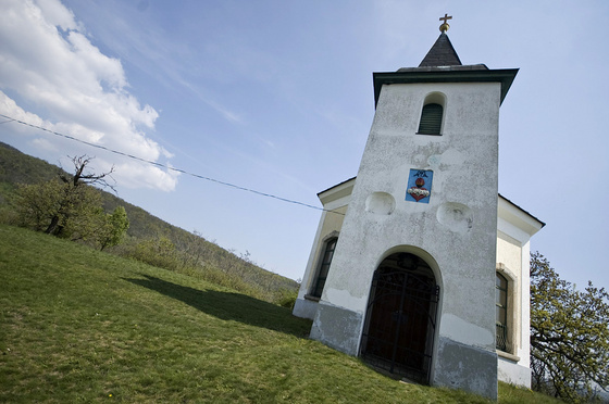 baowah: DSC 2736 baowah: DSC 2736