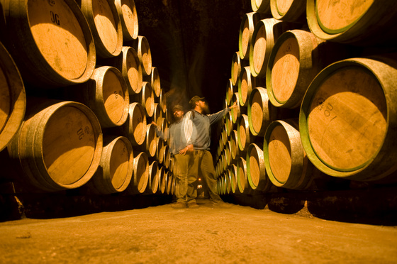 baowah: hordokkozt baowah: hordokkozt