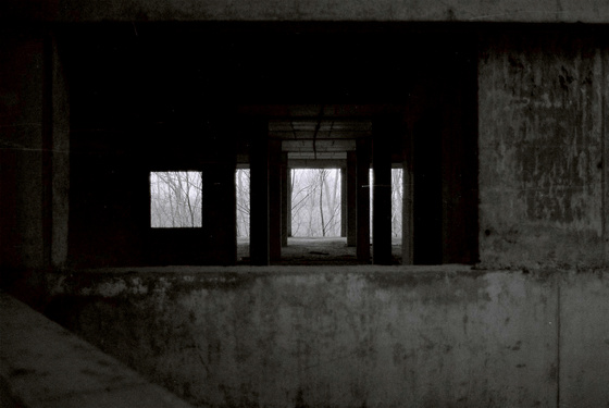 baowah: F1000011 baowah: F1000011