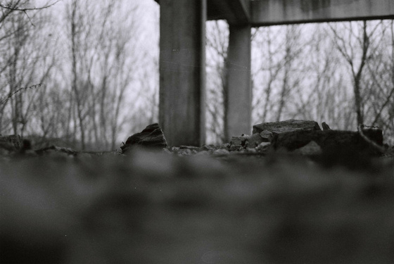 baowah: F1000018 baowah: F1000018