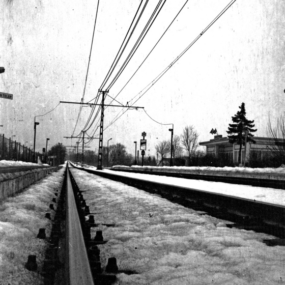 baowah: scan007 baowah: scan007