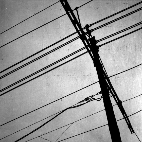 baowah: scan012 baowah: scan012