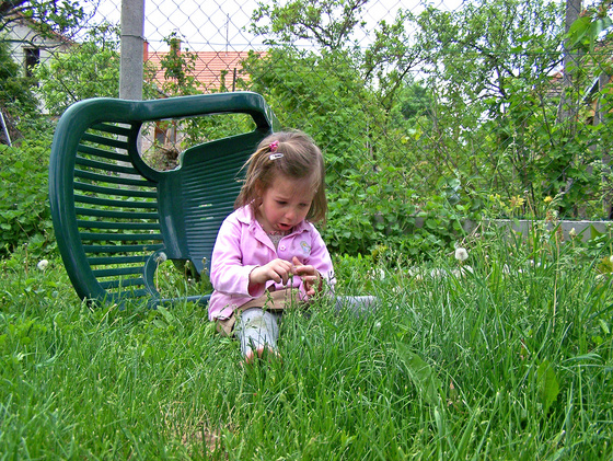 baowah: Kép 011 baowah: Kép 011