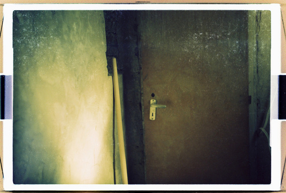 baowah: 000008 baowah: 000008