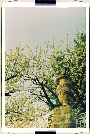 baowah: 000021 baowah: 000021