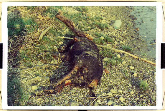 baowah: 000022 baowah: 000022