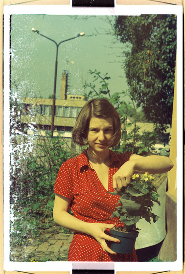 baowah: 000033 baowah: 000033