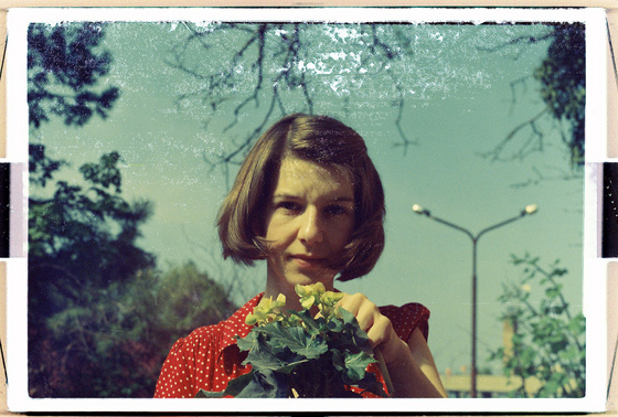 baowah: 000034 baowah: 000034