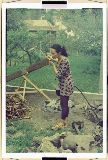 baowah: 000038 baowah: 000038