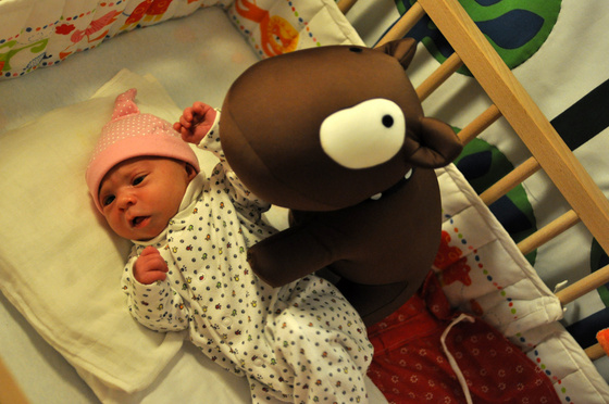 baowah: vereb baowah: vereb