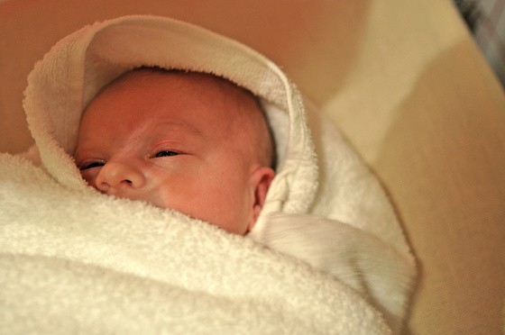 baowah: piri2 baowah: piri2