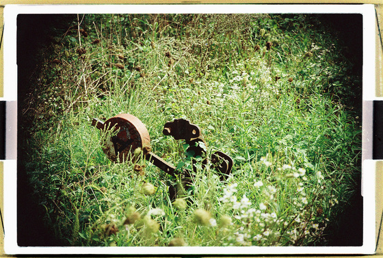 baowah: 000007 baowah: 000007