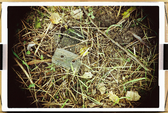 baowah: 000011 baowah: 000011