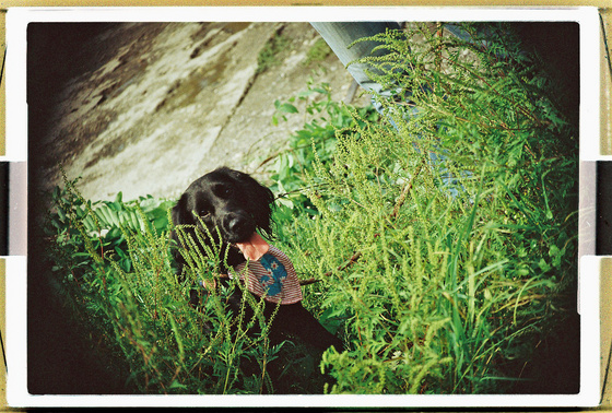 baowah: 000010 baowah: 000010