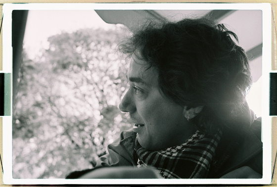 baowah: 000031 baowah: 000031