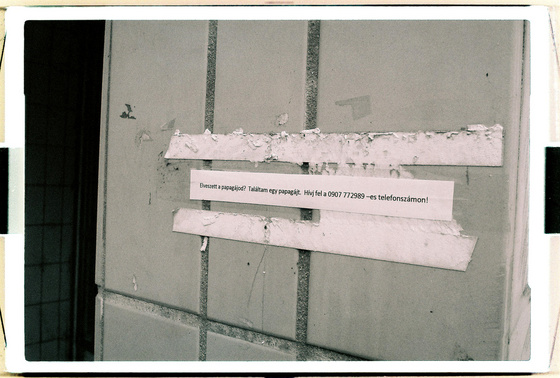 baowah: 000014 baowah: 000014