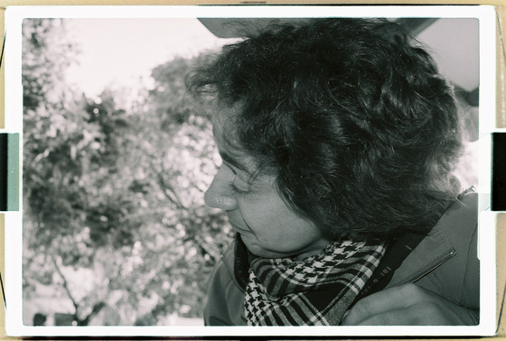 baowah: 000033 baowah: 000033