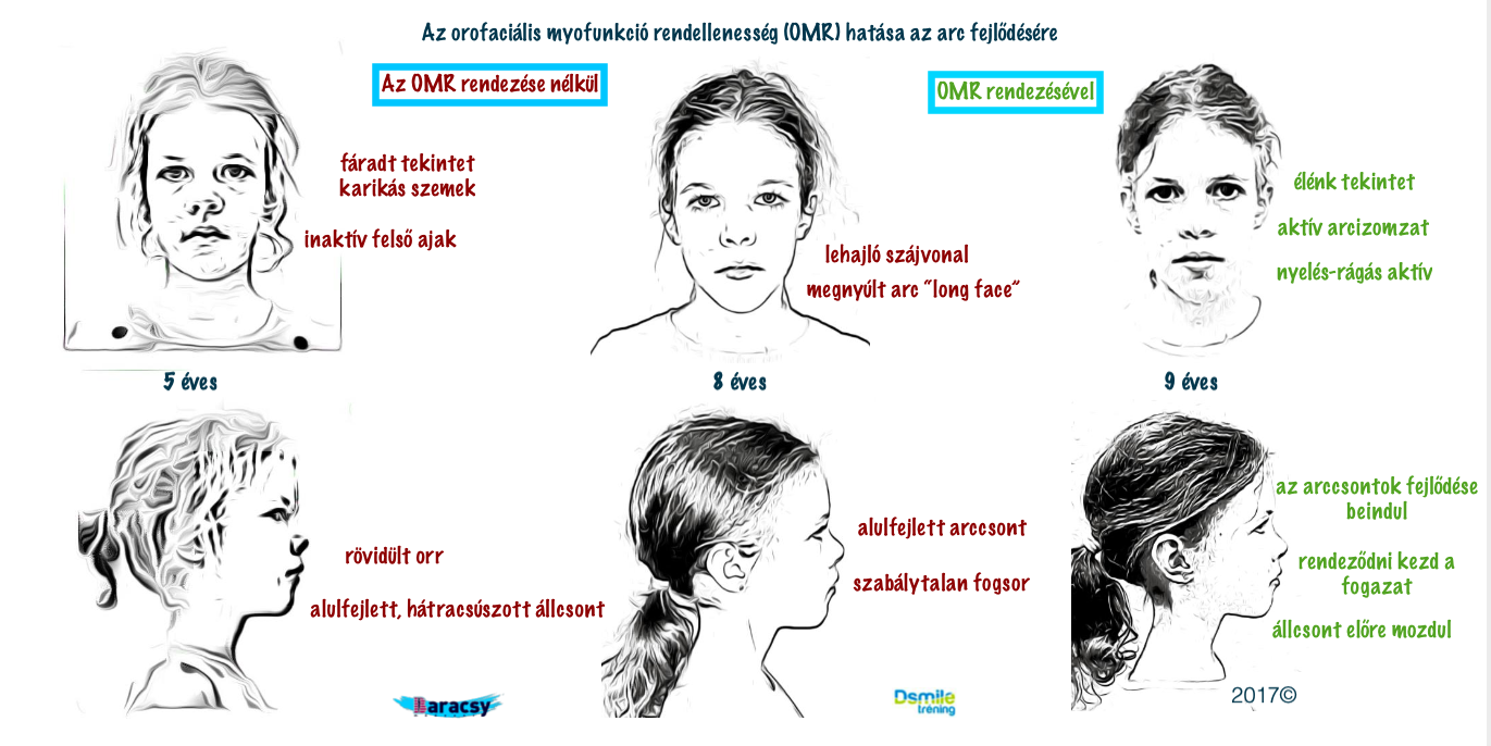 omr_illuszracio.png