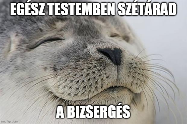 foka_bizsereg.jpg