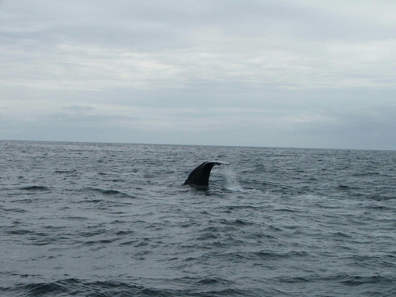 Kaikoura