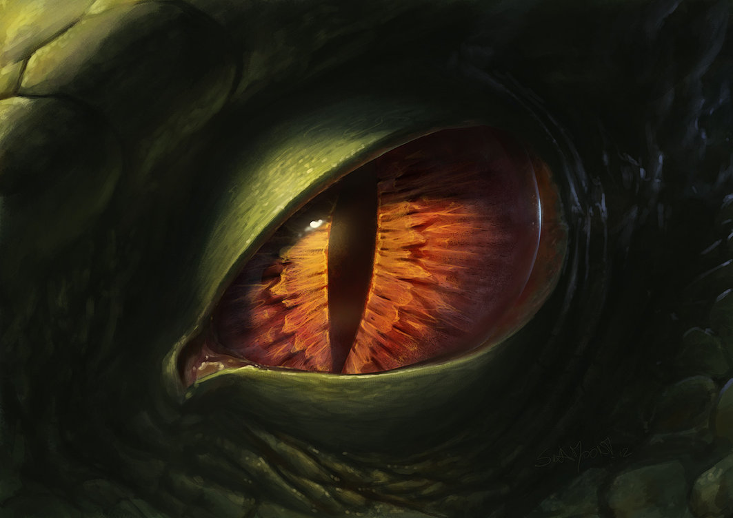 dragon_eye_2012_by_sulamoon-d4rijbi.jpg