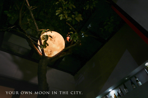 luna02.jpg