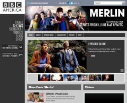 bbca_merlin_website.jpg