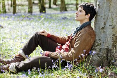 s5promo_merlin_fa.jpg