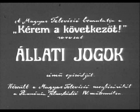 dr_bubo_allati_jogok_focimkep_ff_457366_bbjnckblghzvrz_.jpg