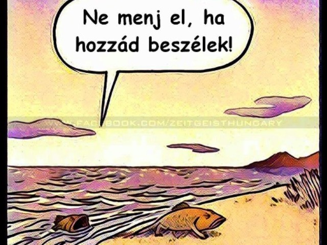 10.7.1 Állattan: Szaporodás: Alapfogalmak, egyedfejlődés