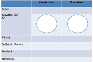 05. Mozgásszervrendszer Biológia 8.