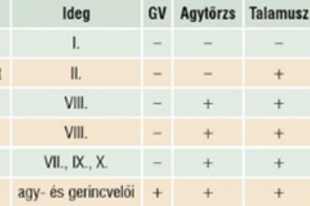 09.13. Szabályozás: Idegrendszer: Érzékelés: Látás