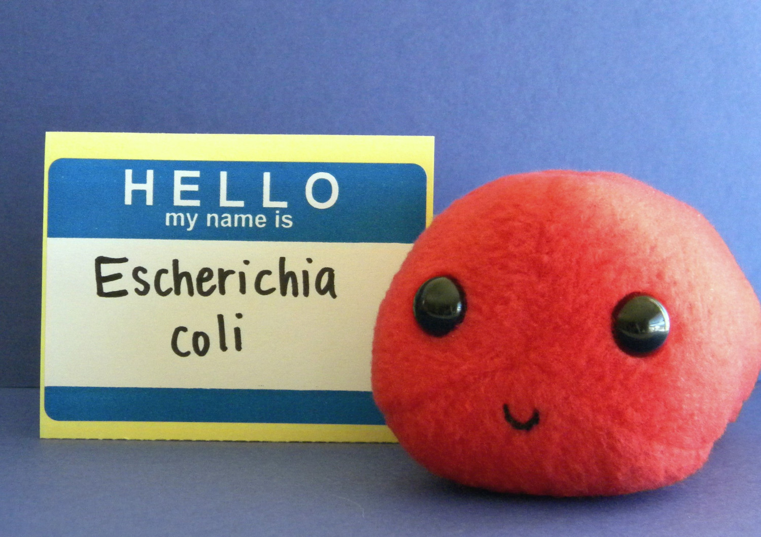 30905_large_e_coli-plush.jpg