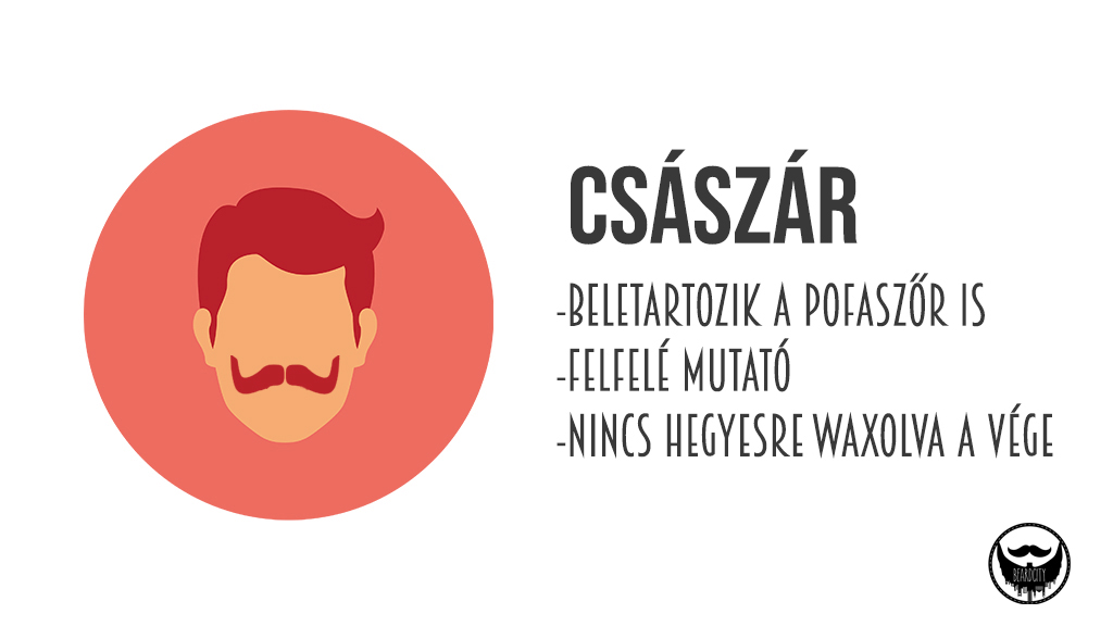 csaszar-bajusz_1.jpg