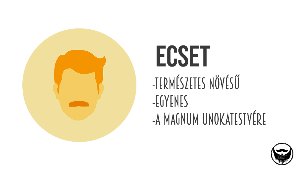 ecset-bajusz.jpg