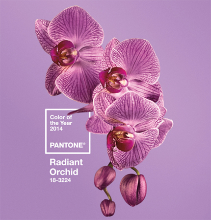 pantone-color-year-2014-radian-orchid.jpg