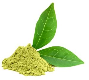 matchazone-matcha-leaf-300x269.jpg