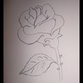 Rózsa rajzolása egyszerűen