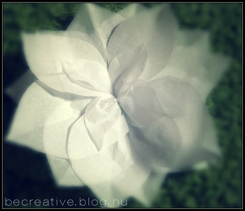 tissuepaperflower3.jpg