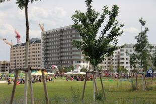 Az utóbbi negyven év legnagyobb parkja Bécsben