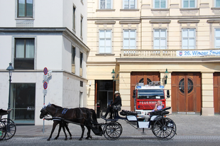 Múzeumok, ahová grátisz bejutunk Bécsben