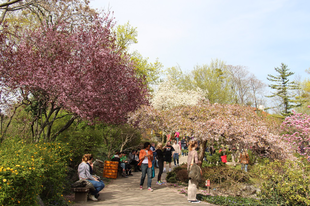 Egy egzotikus park Bécsben