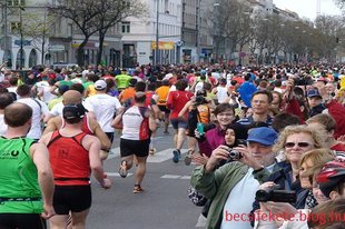 29 Tipp, hogy mivel töltsd az időt Bécsben