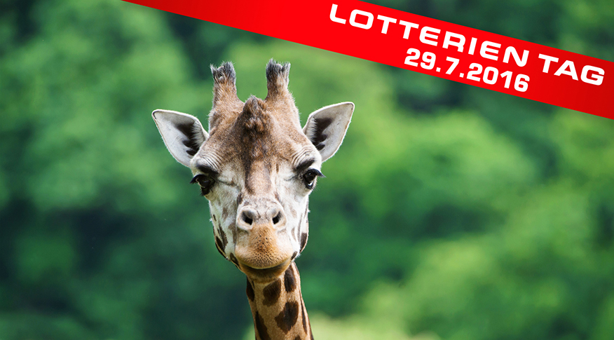 lotterien-tag-tiergarten-schoenbrunn-2016-876x485.jpg