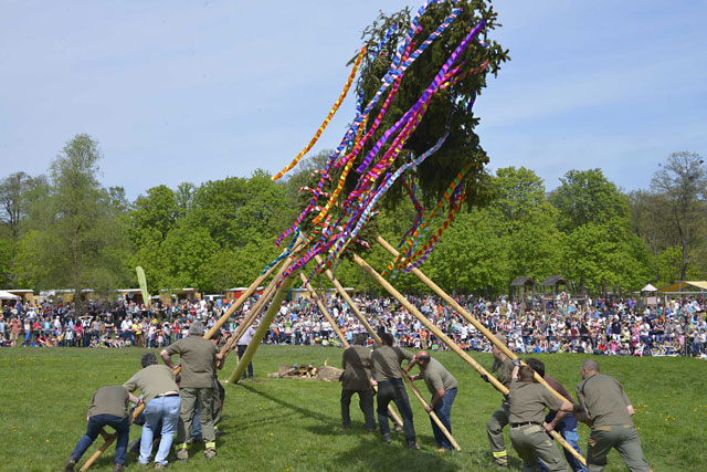 maibaum2016-gr.jpg